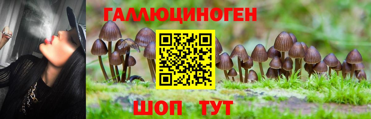 Псилоцибиновые грибы ЛСД  Псилоцибиновые грибы мицелий  Якутск  Вход с VPN 